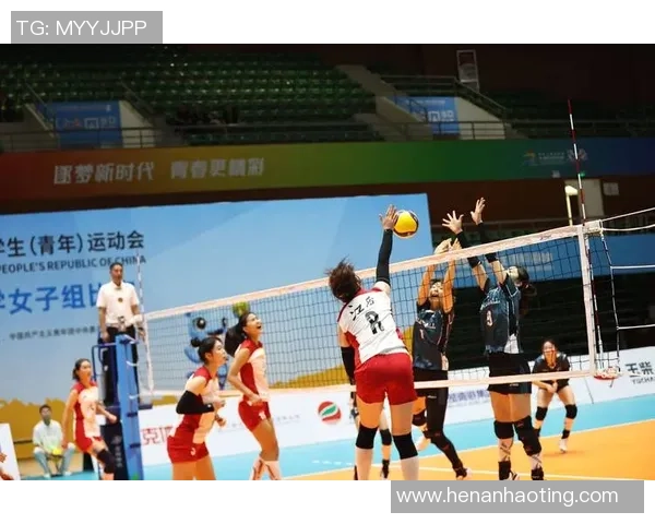 重庆排球队排球配合创新高引发全国关注展现团队实力与默契